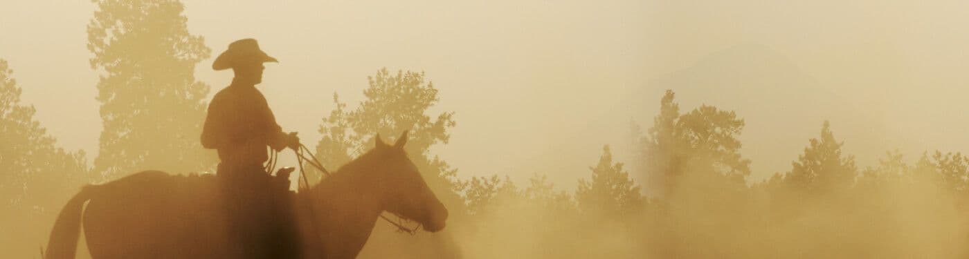 Cole Ranch Homepage banner